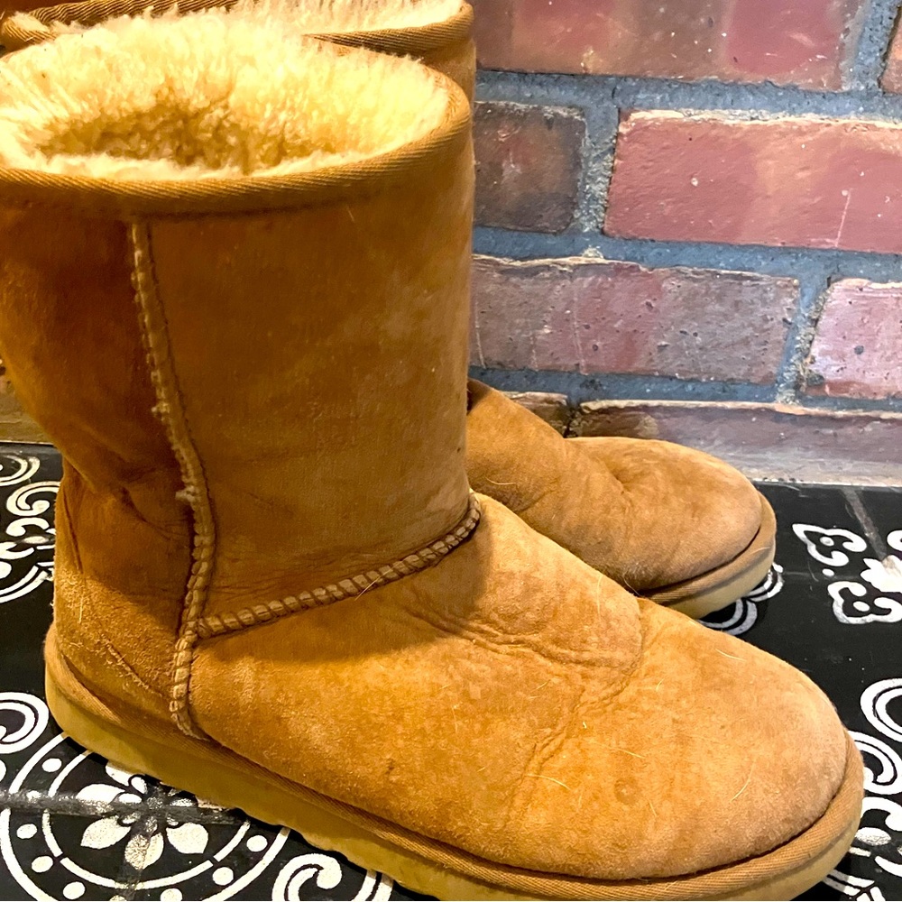 Chestnut Uggs